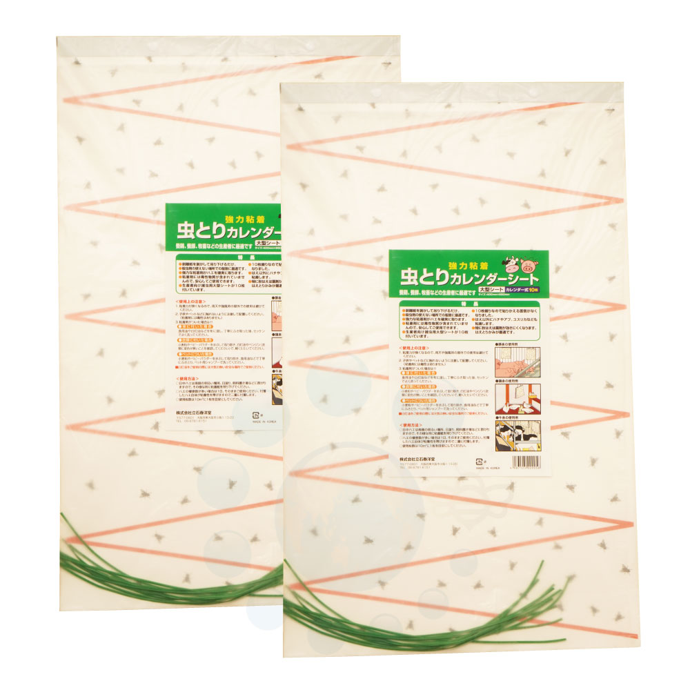 �緿�ϥ����� ��Ȥꥫ������������ 10������2���å� �ϥ���� ���� ���� �ܷܾ�