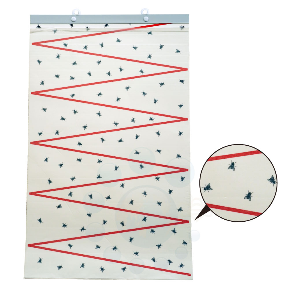 �緿�ϥ����� ��Ȥꥫ������������ 10������2���å� �ϥ���� ���� ���� �ܷܾ�