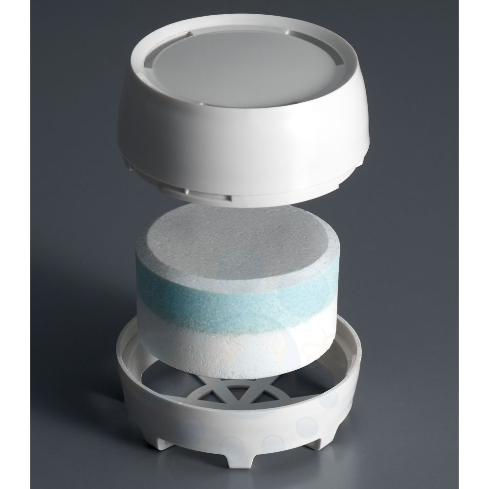 �ƥ������Duo��10�� �ȥ��� Ǣ�н��� Ǣ���ɻ� DUO �ǥ奪 ���ش� ���� ����