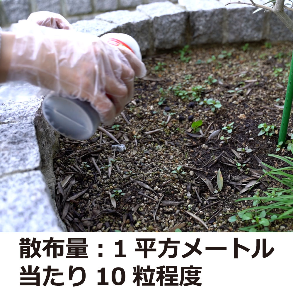 ƨ���ޤ�ͤ󡪾��Х����� 500ml �ڽ�Ŷ����