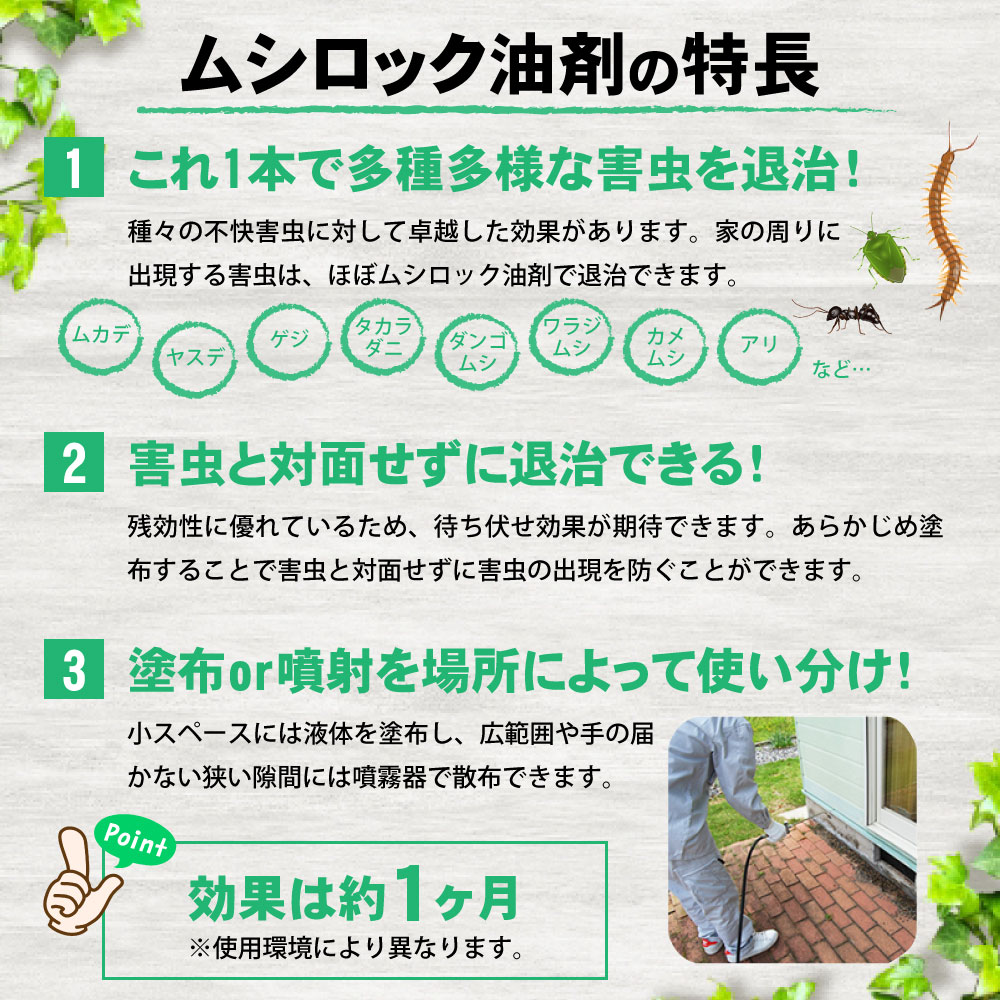 �ڣ�������ʹ߽вٺƳ�ͽ��ۥ५�� �䥹�� ��������˶�� �ॷ���å����� 4L��2�� �㽭�� ����ॷ�༣ �Ԥ��������� ������̵���� ������ �ץ��ѻ����