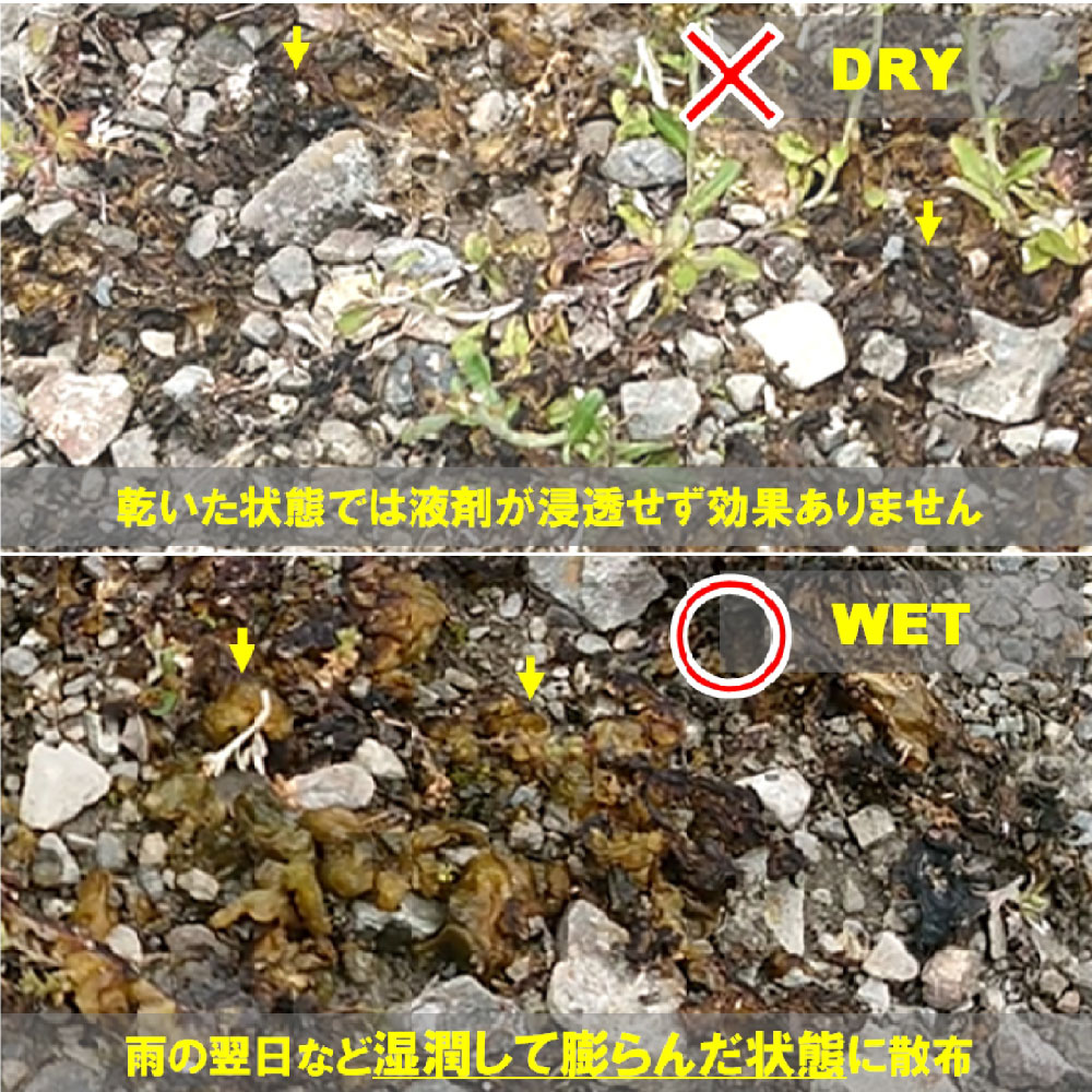 �������饲����� ���������� �������饲�� ǻ�̱� 500ml��6�� ���������� �� ��־�