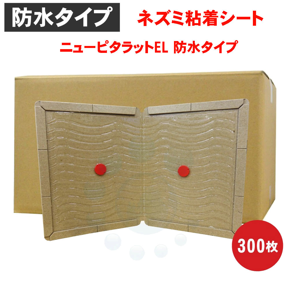 �ͥ���Ǵ�奷���� �˥塼�ԥ���å�EL �ɿ奿���� 100������3������ �ͥ��߶�� ��� Ǵ���� �ɿ� ����