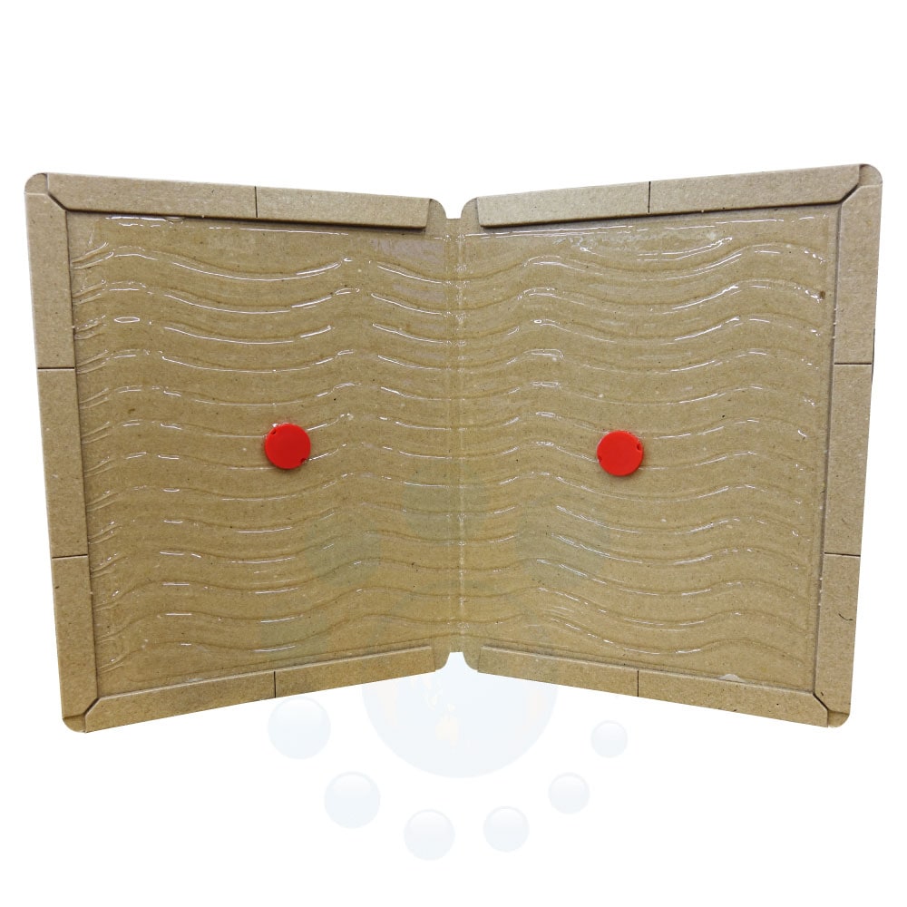 ͥǴ奷 ˥塼ԥåEL ɿ奿 1003 ͥ߶  Ǵ ɿ 