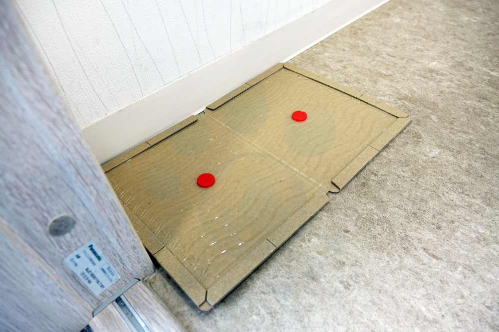 ͥǴ奷 ˥塼ԥåEL ɿ奿 1003 ͥ߶  Ǵ ɿ 