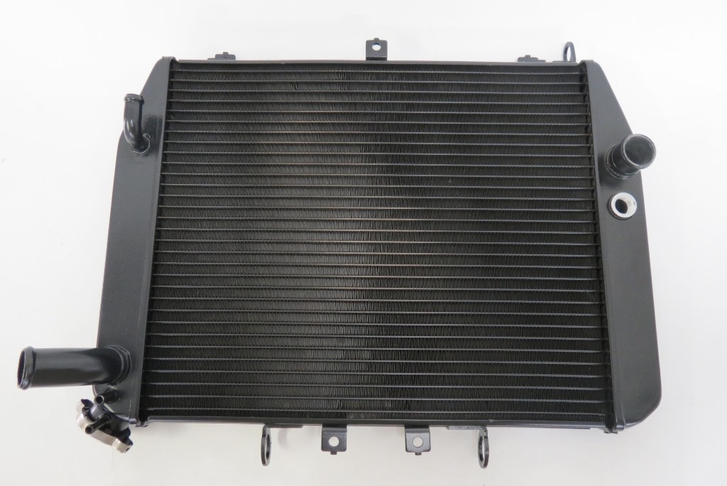ZX12R ZX-12R 2000-2001 �饸��������