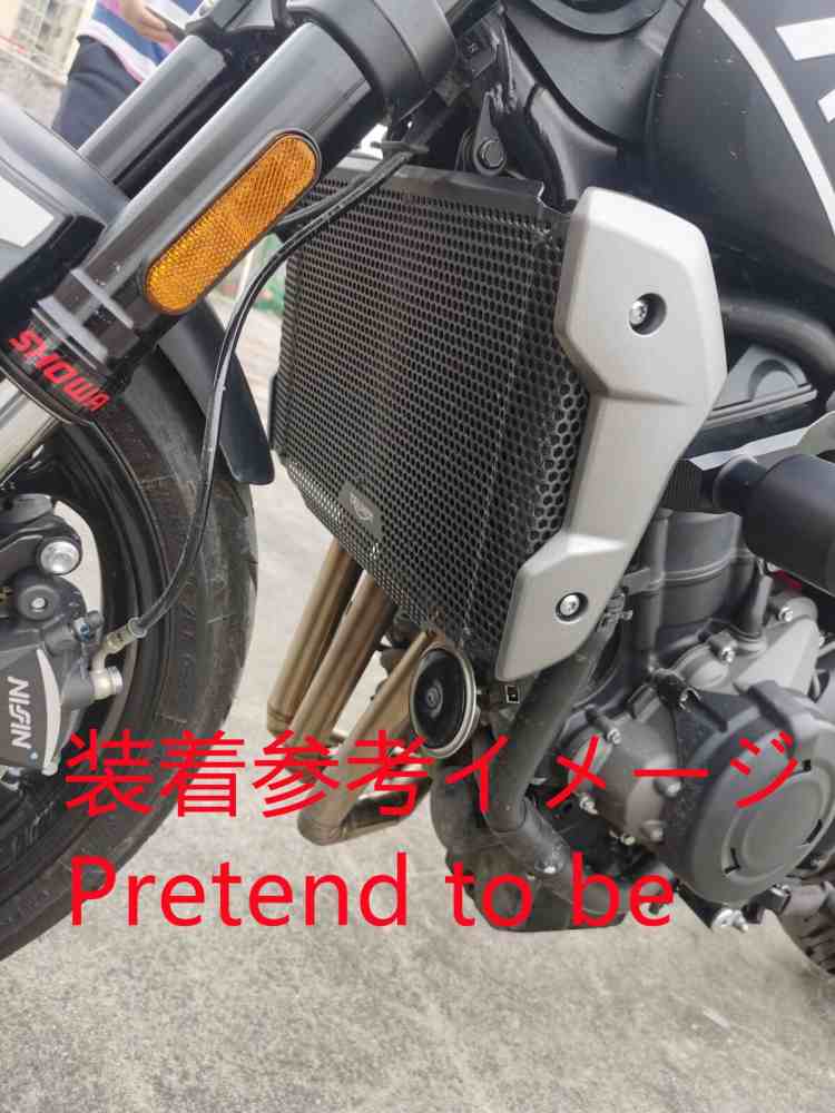 トライアンフ　トライデント660  ラジエーターコアガード トライアンフ TRIDENT660/トライデント660 21- ラジエーター