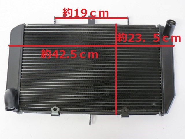 リョウ BEET (ビート) ラジエターガード Ninja1000/Z1000 07