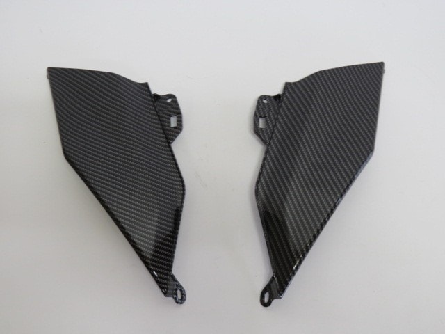 R1300GS R 1300GS 2023 以降 サイドカバー カーボン調