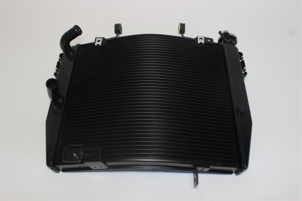 Triumph Speed Triple 765 R RS S 2023-2025 ラジエーター ラジエター