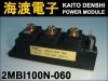 2MBI100N-060 IGBT �ѥ�⥸�塼�� FUJI ���