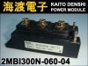 2MBI300N-060-04 IGBT�⥸�塼�� FUJI ���