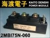 2MBI75N-060 IGBT�⥸�塼�� FUJI ���