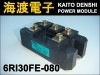 6RI30FE-080 �ѥ���������ɥ⥸�塼�� FUJI ���