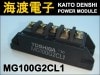 MG100G2CL1 ѥȥ󥸥⥸塼 TOSHIBA 
