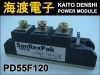 PD55F120 �ѥ�����ꥹ���⥸�塼�� SanRex ���
