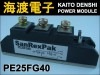 PE25FG40 ѥꥹ⥸塼 SanRex 