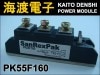 PK55F160 ѥꥹ⥸塼 SanRex 