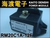 RM20C1A-12F �ѥ���������ɥ⥸�塼�� MITSUBISHI ���