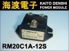 RM20C1A-12S �ѥ���������ɥ⥸�塼�� MITSUBISHI ���