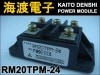 RM20TPM-24 �ѥ���������ɥ⥸�塼�� MITSUBISHI ���