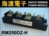 RM250DZ-H �ѥ���������ɥ⥸�塼�� MITSUBISHI ���