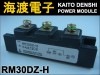 RM30DZ-H �ѥ���������ɥ⥸�塼�� MITSUBISHI ���