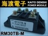 RM30TB-M �ѥ���������ɥ⥸�塼�� MITSUBISHI ���