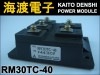 RM30TC-40 �ѥ���������ɥ⥸�塼�� MITSUBISHI ���