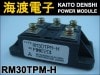 RM30TPM-H �ѥ���������ɥ⥸�塼�� MITSUBISHI ���