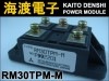 RM30TPM-M �ѥ���������ɥ⥸�塼�� MITSUBISHI ���
