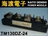 TM130DZ-24 �ѥ�����ꥹ���⥸�塼�� MITSUBISHI ���