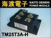 TM25T3A-H �ѥ�����ꥹ���⥸�塼�� MITSUBISHI ���