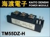 TM55DZ-H �ѥ�����ꥹ���⥸�塼�� MITSUBISHI ���