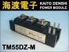 TM55DZ-M �ѥ�����ꥹ���⥸�塼�� MITSUBISHI ���