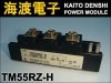 TM55RZ-H �ѥ�����ꥹ���⥸�塼�� MITSUBISHI ���