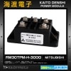 RM30TPM-H-300G �ѥ���������ɥ⥸�塼�� MITSUBISHI ���