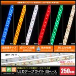 LED�ơ��ץ饤�� ��̩�� 120LED/m �ɿ� 12V 1���å� ��١��� 250cm 1��