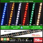 LED�ơ��ץ饤�� ��̩�� 120LED/m �ɿ� 12V 1���å� ���١��� 250cm 1��