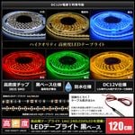 LED�ơ��ץ饤�� 12V ��̩�� 240LED/m �ɿ� ���뤤 �⵱�� ���ʼ� 120cm ��ü�� �Ÿ������֥�1m ���١���