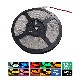 �ڥϥ�������ƥ����ɿ� LED�ơ��ץ饤�� 1���å� 12V ñ�� 900cm