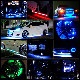 �ڥϥ�������ƥ����ɿ� LED�ơ��ץ饤�� 1���å� 12V ñ�� 10M