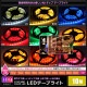 ϥƥ LEDơץ饤 ɿ 12V 10m 1å ١ ʼ ܾ ƥꥢơץ饤