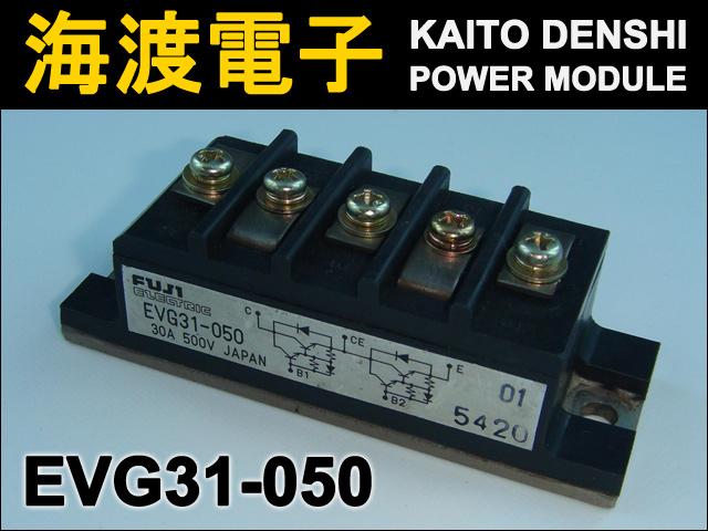 EVG31-050 �ѥ�ȥ�󥸥����⥸�塼�� Fuji ���
