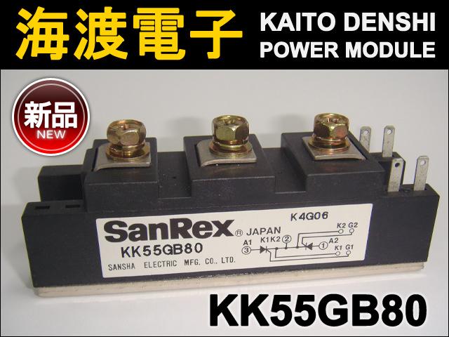 KK55GB80 �ѥ�����ꥹ���⥸�塼�� SanRex ����