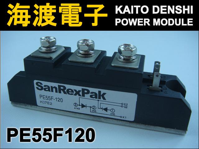 PE55F120 �ѥ�����ꥹ���⥸�塼�� SanRex ���