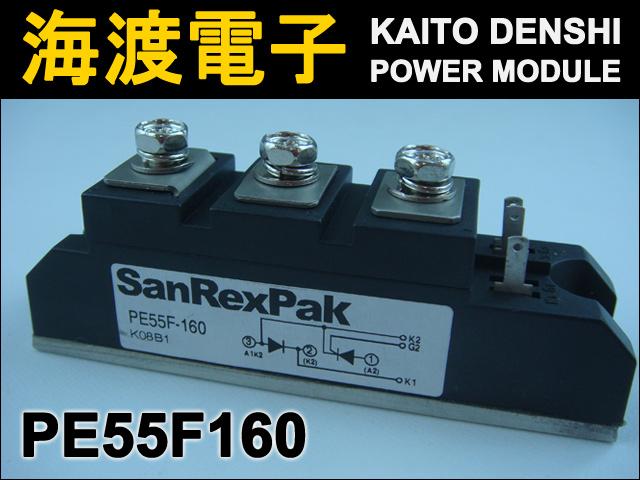 PE55F160 �ѥ�����ꥹ���⥸�塼�� SanRex ���