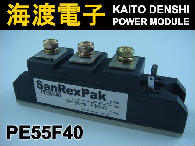 PE55F40 �ѥ�����ꥹ���⥸�塼�� SanRex ���