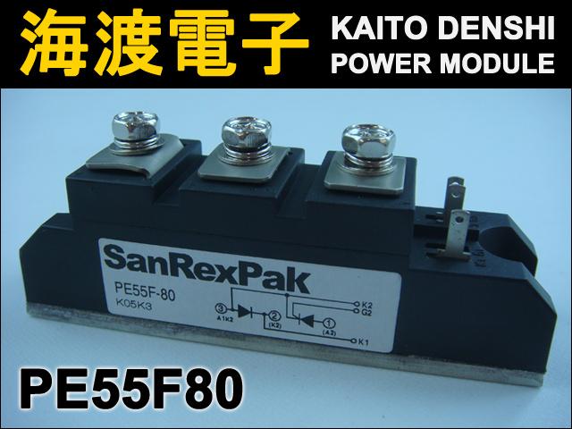 PE55F80 �ѥ�����ꥹ���⥸�塼�� SanRex ���