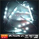 LED�⥸�塼�� 3�������� 12V �� 5730SMD ñ�� ���ľ��� ���ܾ��� ��ȥ������ 20Ϣ 1���å�